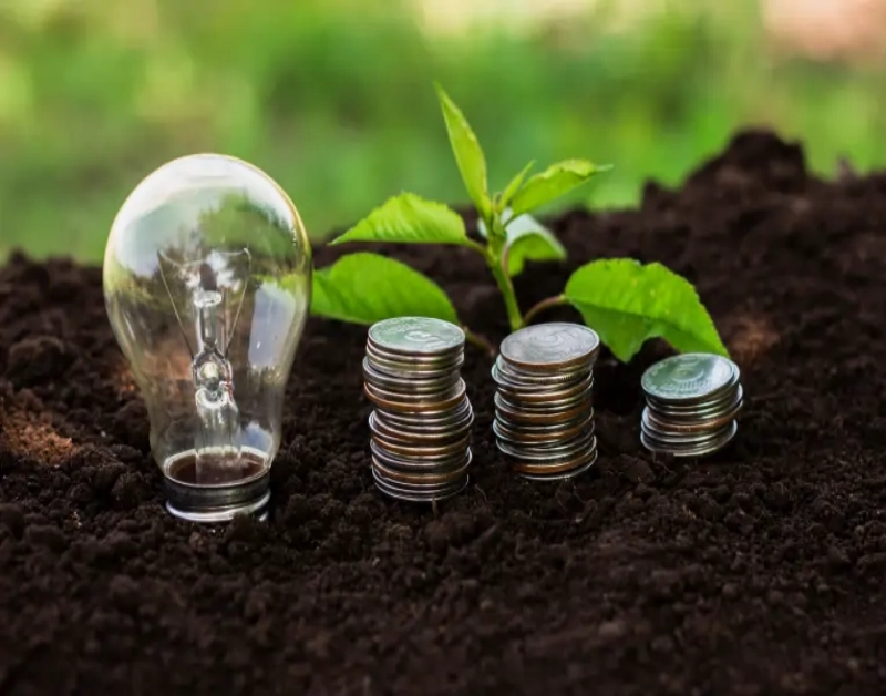Brasil pode se tornar referência em economia verde e desenvolvimento sustentável
