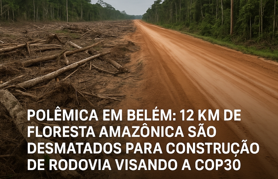 A estrada construída para a COP30 em Belém que vai desmatar a Amazônia … qual a lógica?