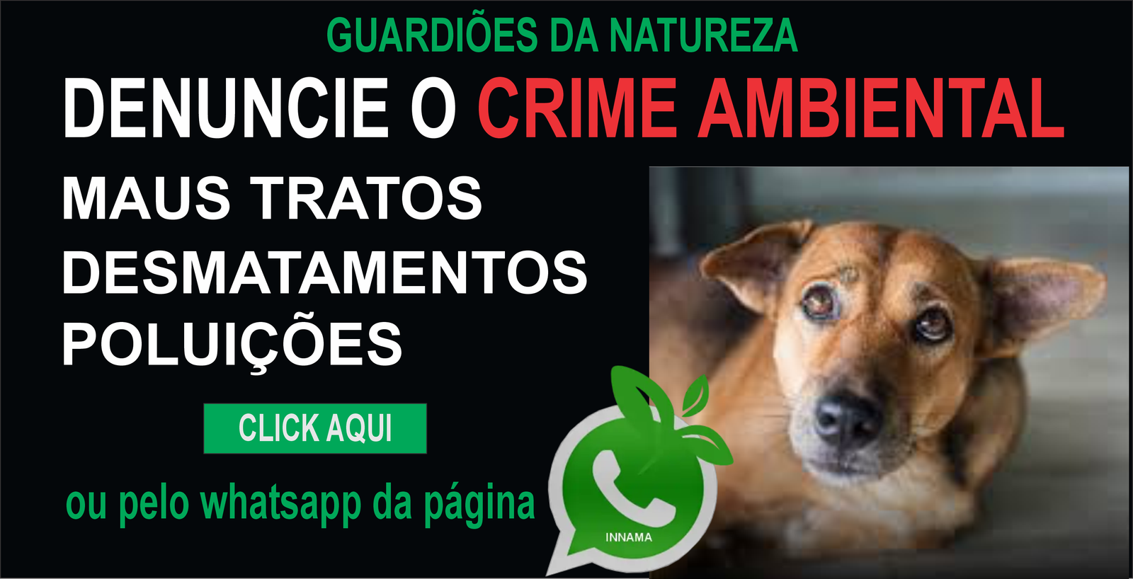 DENUNCIE GUARDIOES 2 1