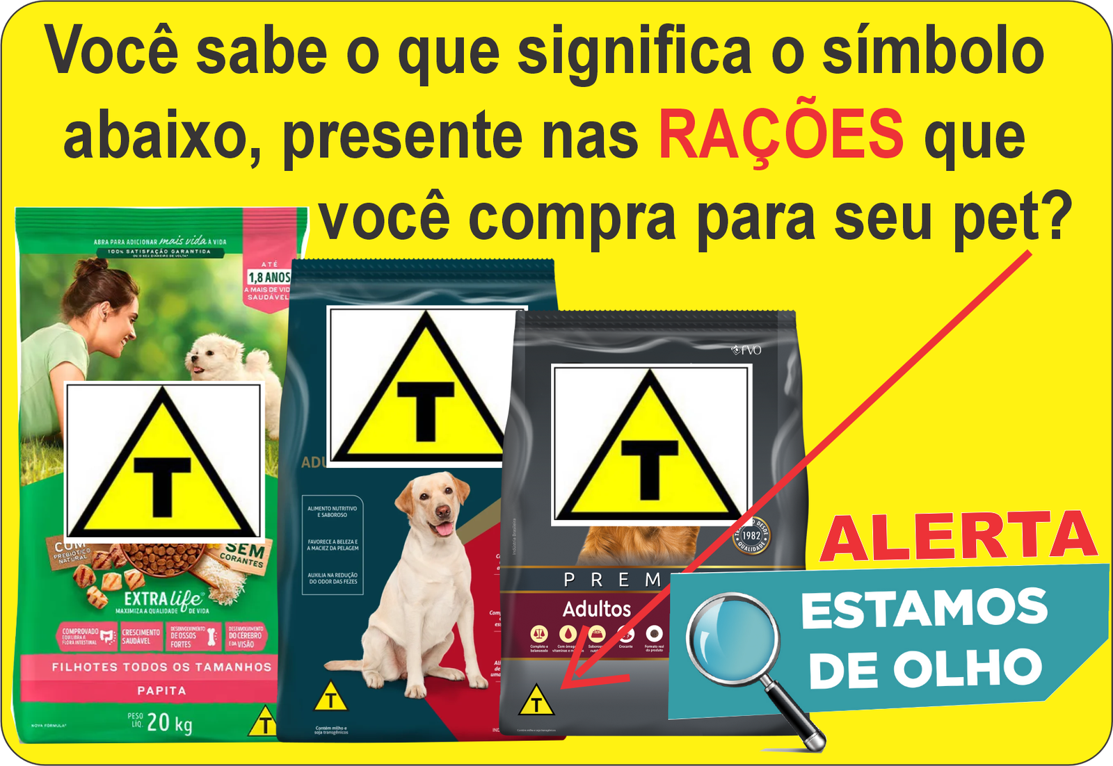 foto racoes transgenicos 2 1