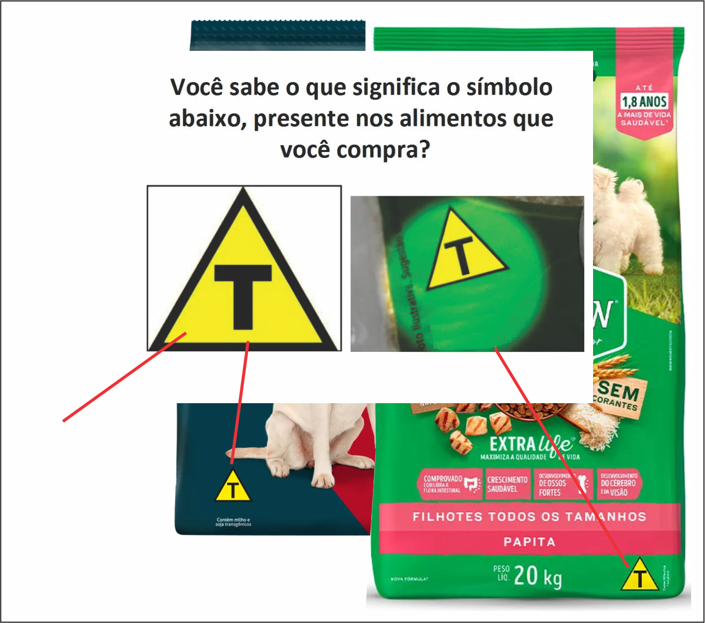 foto racoes transgenicos