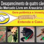 materia mercado livre capa 2 3